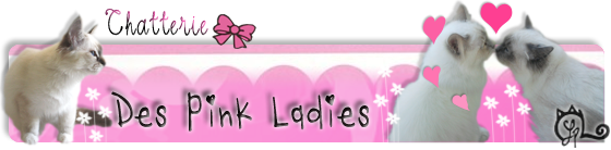 chatterie des pink ladies